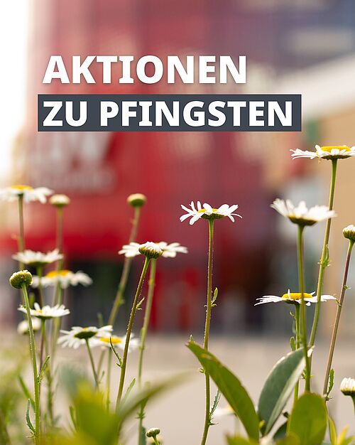 Highlights am Samstag, 7. Juni: 👟 Neueröffnung von SchuhKay um 10 Uhr 🦆 Rotary Club – Entenrennen-Losverkauf 🍳...