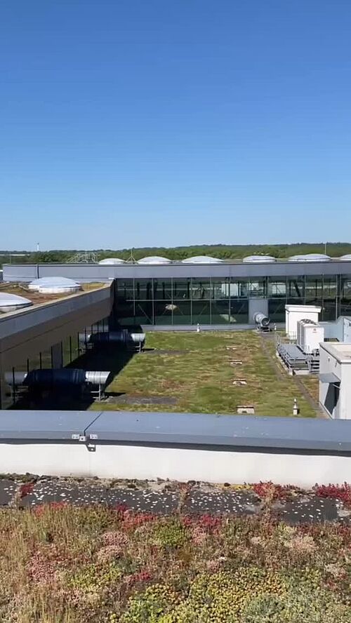 Begleite uns aufs Dach und schau dir an, wie wir Natur und Technik clever verbinden! 🌿🔋 Gründächer und Photovoltaik...